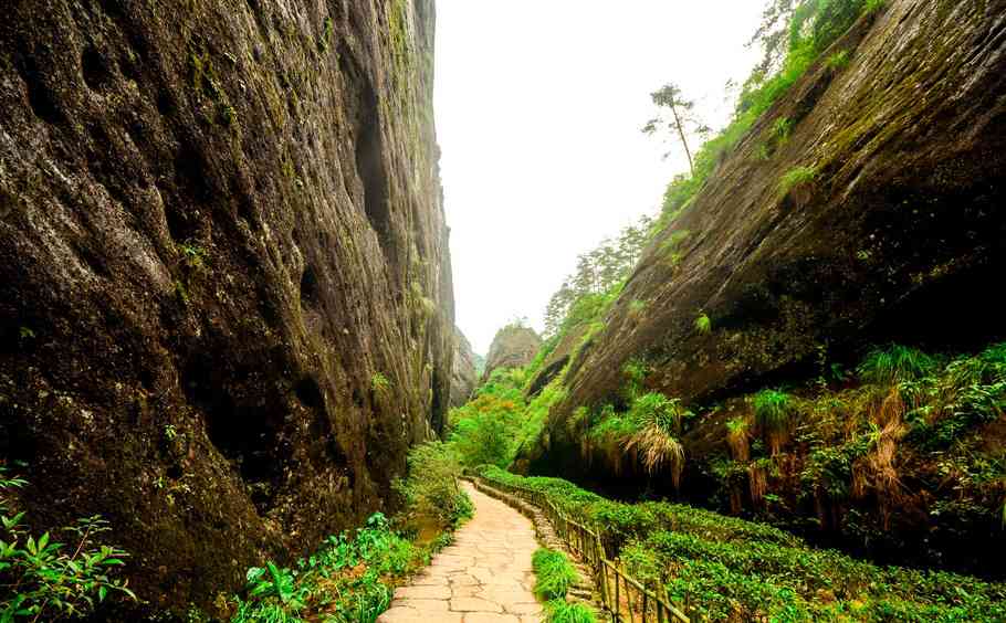 神话武夷山，岩茶的故乡