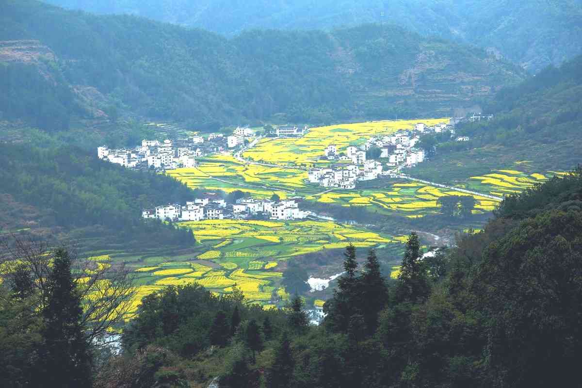 婺源春季旅游线路哪条好