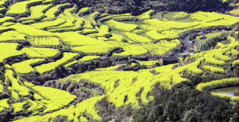 去婺源旅游要注意什么