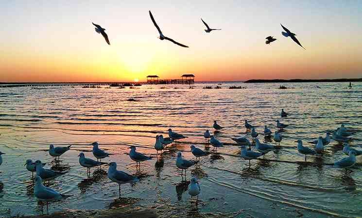 额济纳旗的主要景点