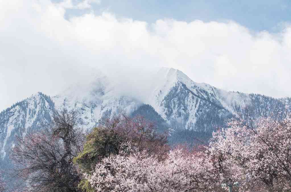 西藏林芝几月最美，有哪些旅游的景点适合游玩