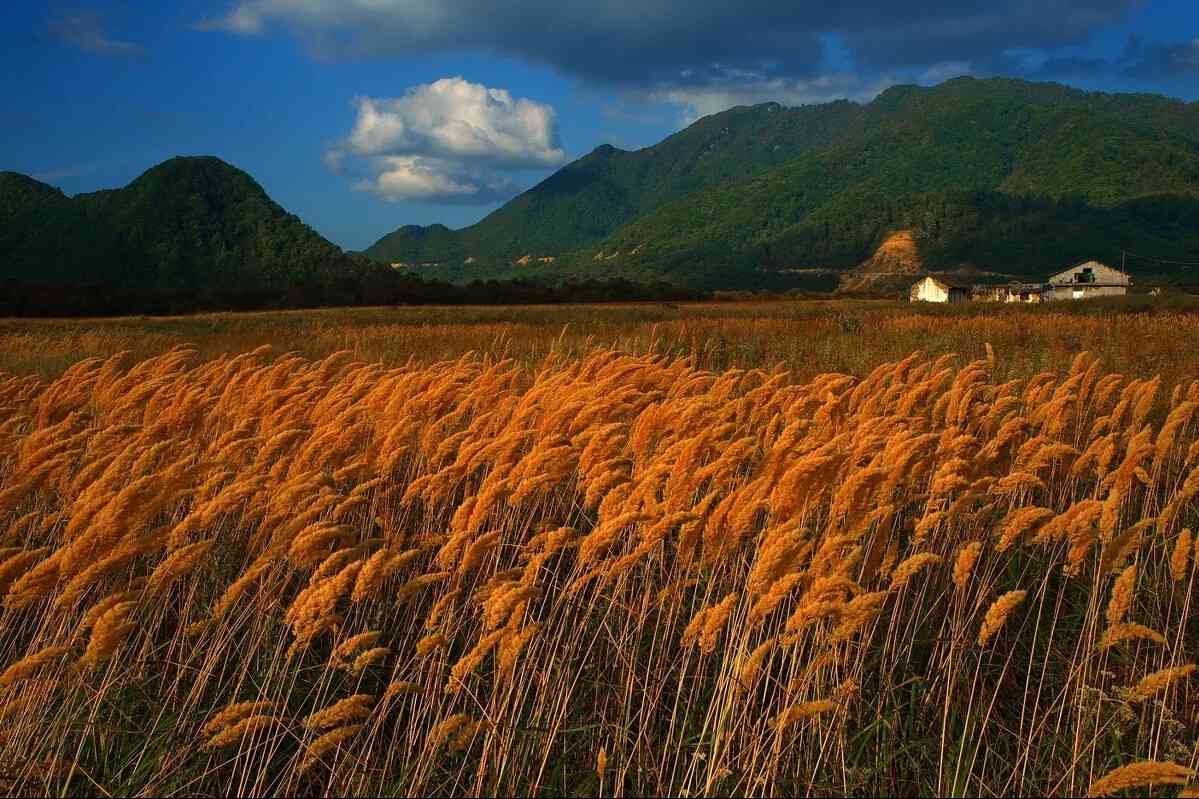 神农架秋色最佳摄影点在哪里？神农架哪里最适合拍照？