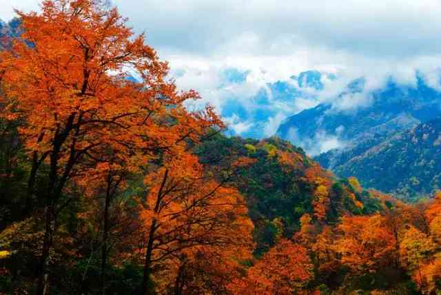 四川最美自驾旅游推荐