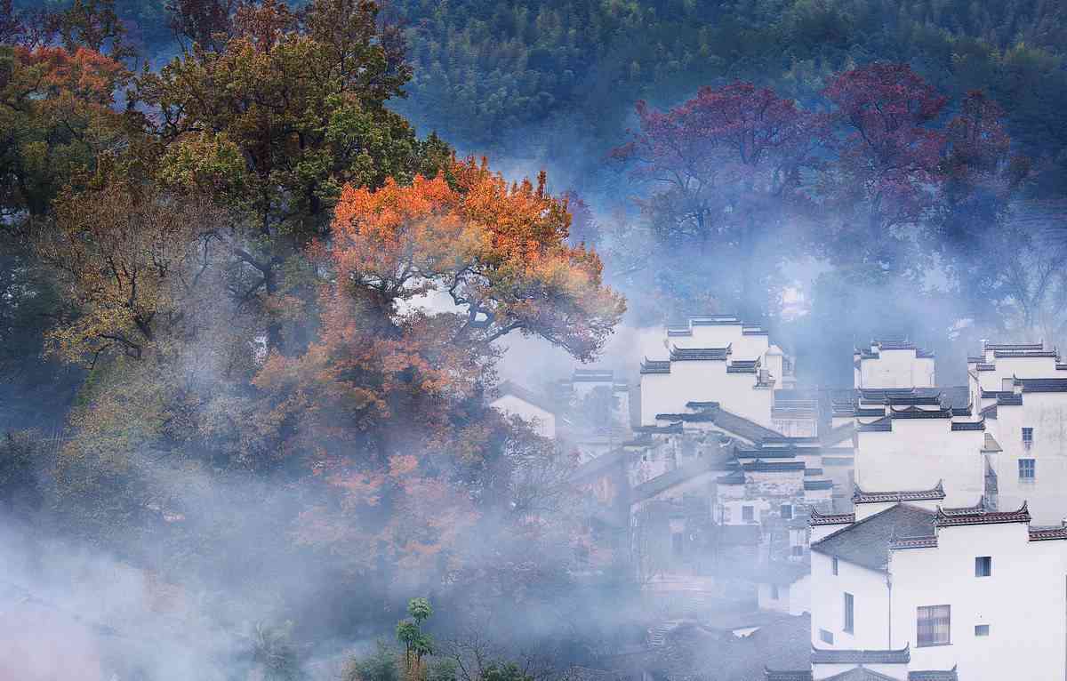 秋季去婺源旅游怎么样