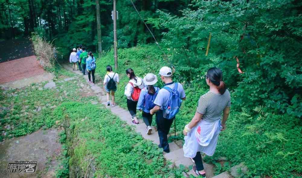 莫干山赏春路线有哪些？趁着春色去走一走