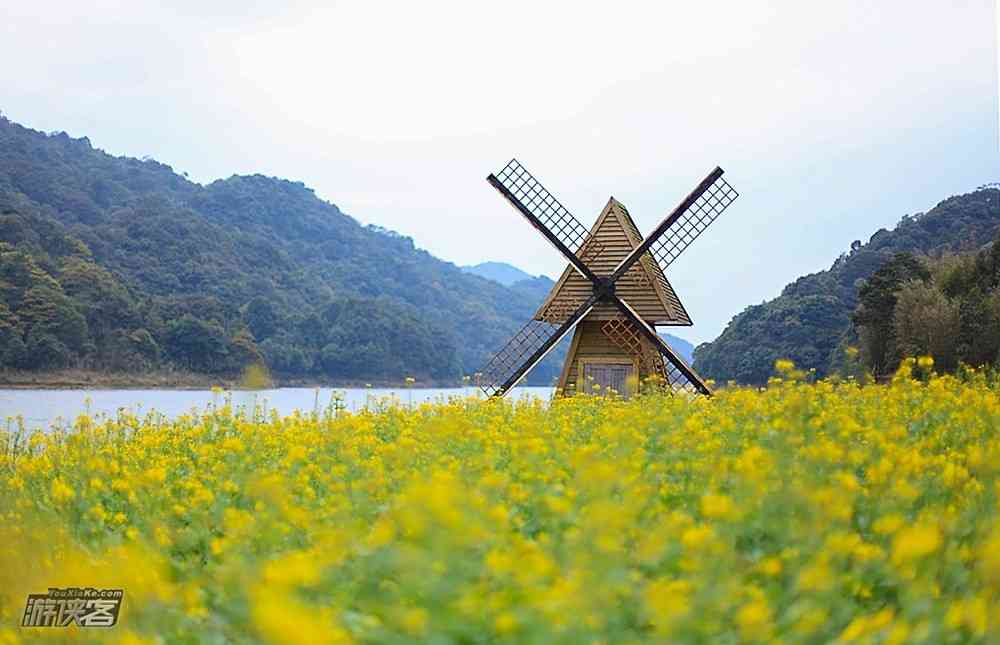 2018广州哪里有油菜花看