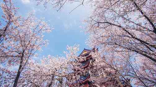 太湖一日游，太湖鼋头渚旅游攻略