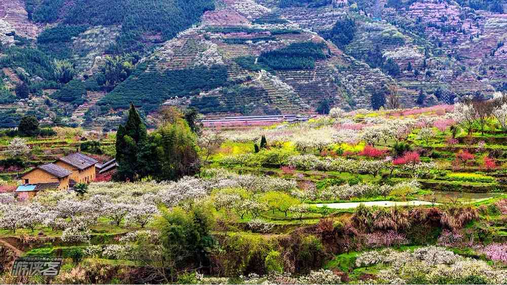 广州春天去哪里旅游