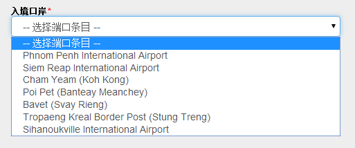 柬埔寨电子签证申请表中入境口岸填写错误怎么办？
