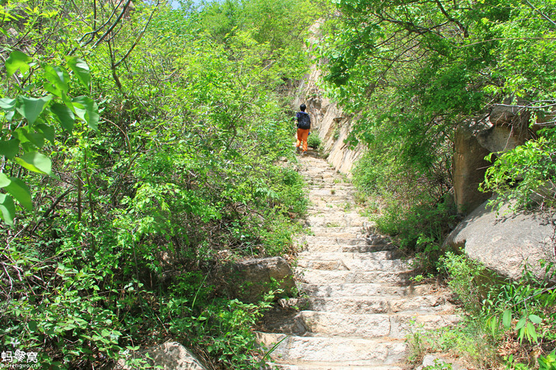 鳞龙山风景区