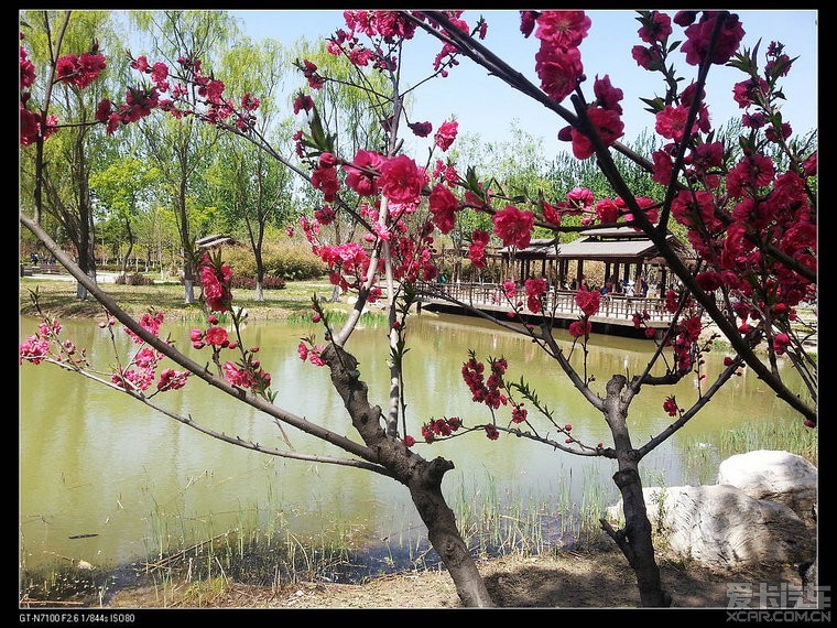 京城槐园