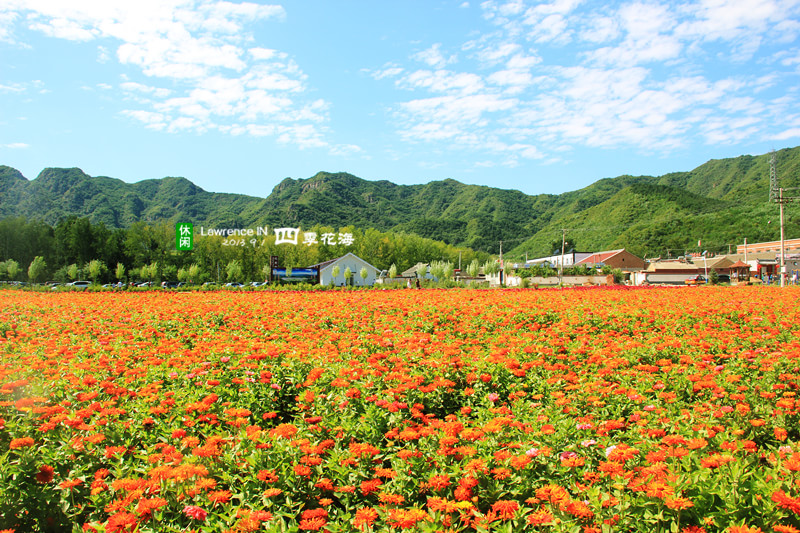 四季花海