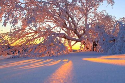 <哈尔滨-亚布力-雪乡4日游>体验滑雪 登大秃顶子山（当地游）