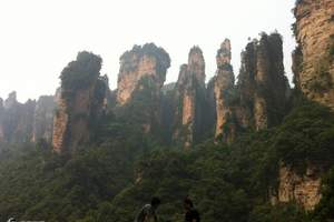 （天天特价）张家界旅游价格 袁家界天子山 天门山天门洞三日游