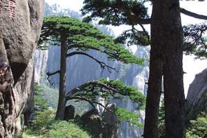 南昌出发到黄山汽车二天纯玩游 南昌到黄山旅游多少钱