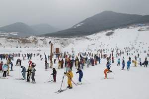 连云港到哈尔滨观光、亚布力滑雪双卧五日游