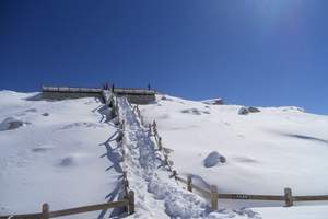 元旦节成都周边旅游线路|达古冰川三日游|达古冰川冰上狂欢节