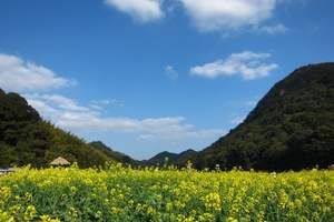 【宝鸡周末游】宝鸡到留坝张良庙、紫柏山二日游　留坝紫柏山游