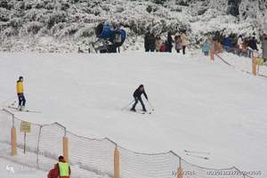 重庆金佛山西坡、碧潭幽谷、天星小镇一日游|金佛山滑雪、看雪