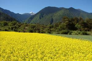 南宁到上林西燕油菜花季、大龙湖游船一日游_广西旅游