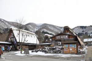 东京北海道函馆薰衣草双温泉浪漫双飞6日dy【日本旅游自由行】