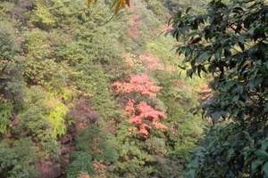 去张家界北京成团旅游线路 袁家界 天子山-十里画廊双卧6日游