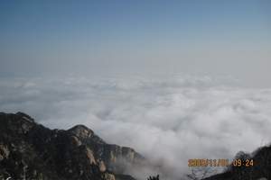 山东l旅游 山东半岛旅游 青岛至泰山两日游