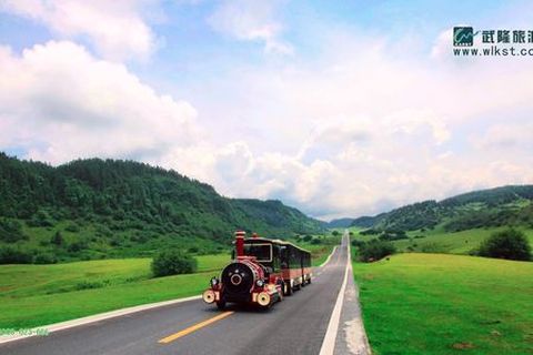 <武隆天生三桥-芙蓉洞-仙女山2日游>武隆当地（当地游）