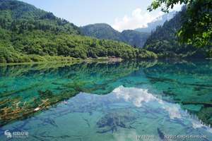 成都/九寨/黄龙/四飞五日游/哈尔滨到成都旅游报价