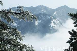 元旦节去哪里旅游比较好，张家界、天子山汽车纯玩三日游（晚班）