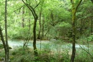 石家庄到九寨沟旅游|石家庄到九寨沟双飞五日游