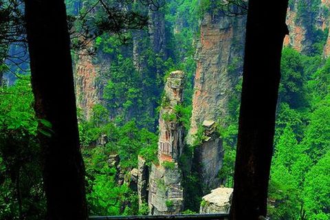 <张家界-袁家界-天子山-黄龙洞3日游>三星住宿（当地游）