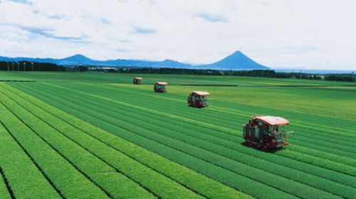 <仙台-札幌-小樽-函馆5日游>函馆夜景，北海道红枫，早定立减