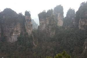 【北京去张家界十里画廊旅游多少钱】金鞭溪袁家界景区双飞4日游